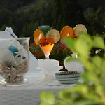 Cristina Bed & Breakfast