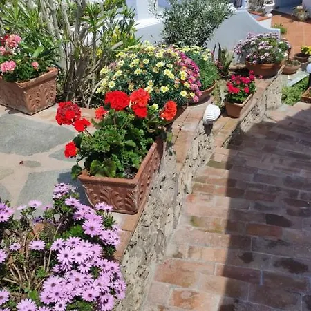 Cristina Bed & Breakfast 2*
