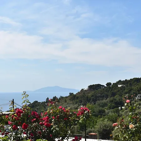 Bed and Breakfast Cristina 4*