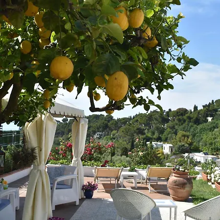Cristina Nocleg ze śniadaniem Anacapri (Isola di Capri)