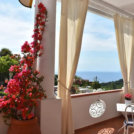 Nocleg ze śniadaniem Cristina Anacapri (Isola di Capri)